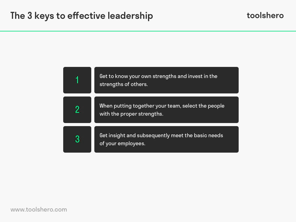 Strengths Based Leadership Model